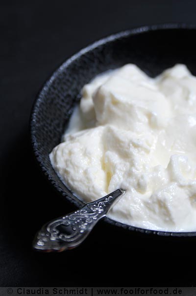 Joghurt natur, wie ihn der Joghurtbereiter schuf