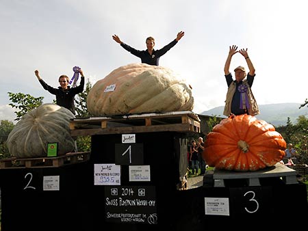 Neuer Weltrekord im Kürbiswiegen - New World Record Pumpkin Weigh-Off