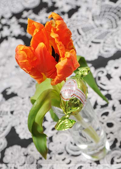 Tisch-Deko mit Blumen