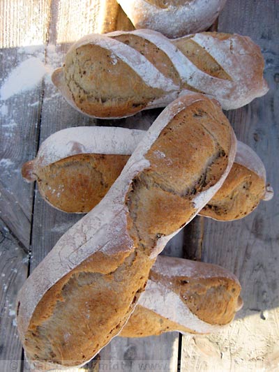 Brote aus dem Holzofen