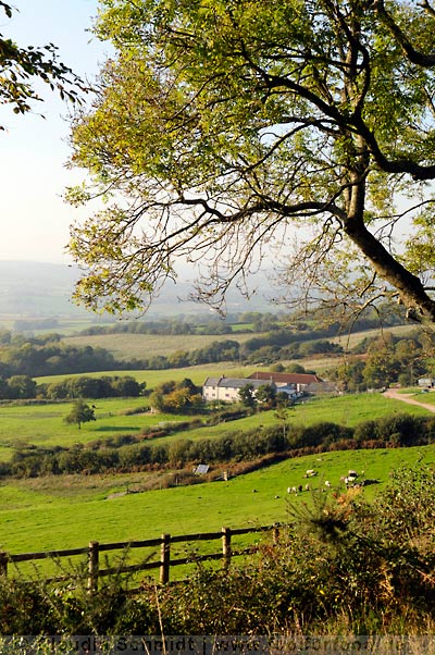 Blick auf River Cottage in der Nachmittagssonne