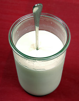 Joghurt aus dem Steamer