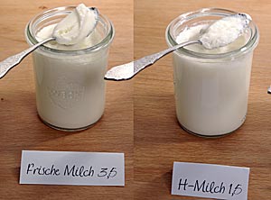 Selbstgemachter Joghurt im Vergleich