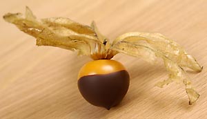 Physalis in Schokolade getaucht