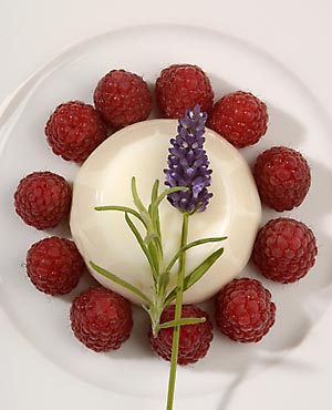 Rosmarin-Lavendel-Panna-Cotta