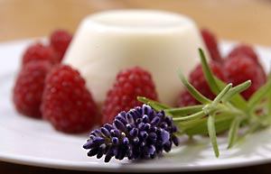 Rosmarin-Lavendel-Panna-Cotta