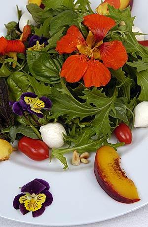 Salat mit essbaren Blüten